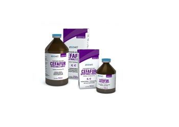 سيفافور – CEFAFOUR مضاد حيوي واسع الطيف لعلاج الالتهابات الشديدة