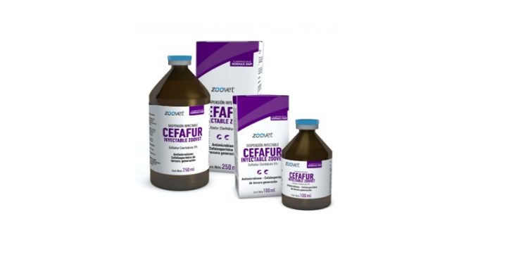 سيفافور – CEFAFOUR مضاد حيوي واسع الطيف لعلاج الالتهابات الشديدة