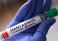 فيروس هانتا
