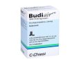 بيوداير – BUDIAIR لعلاج الربو والسيطرة على التهاب الشعب الهوائية